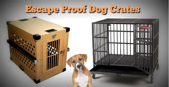 The Best Indestructible, Escape Proof & Heavy Duty Dog Crates in 2018