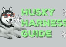 Sled Pulling & No Pull Harnesses For Huskies | Husky Harness Guide