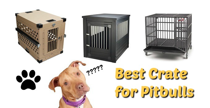 Best Crates for Pitbulls